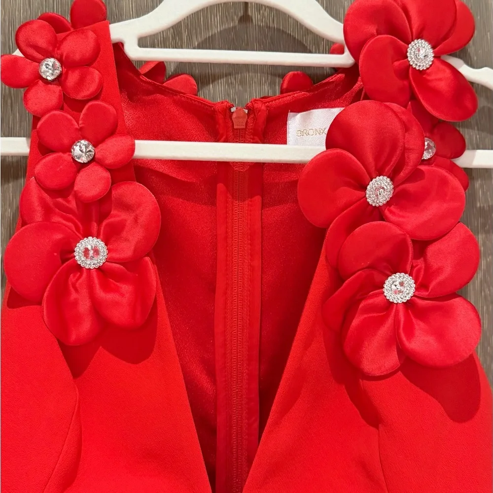 Bronx and Banco Red Floral Appliqué Deep V Mini Dress-RRP$895